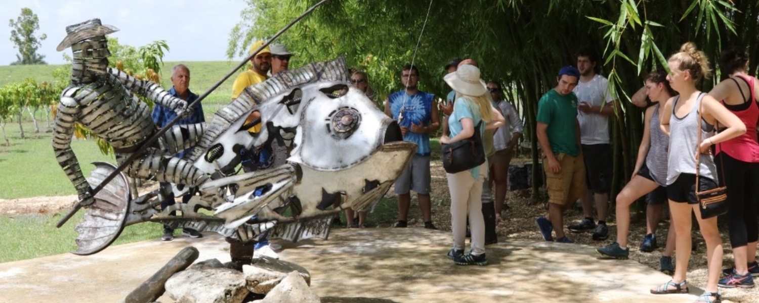 Muestra de arte en Finca Coincidencias